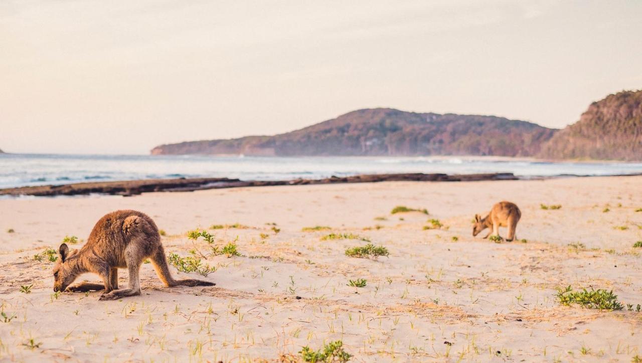 Pebbly Beach Escape East Lynne Esterno foto